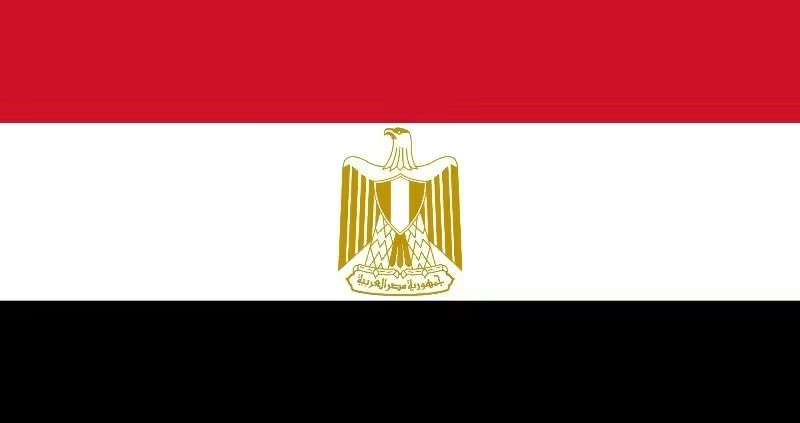 16 قتيلًا في انقلاب   حافلة جنوب سيناء