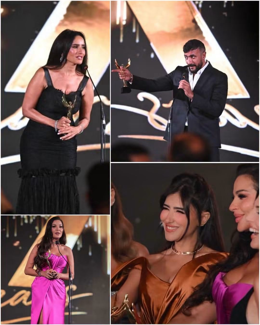 في الدورة الـ 17 لمهرجان الفضائيات العربية