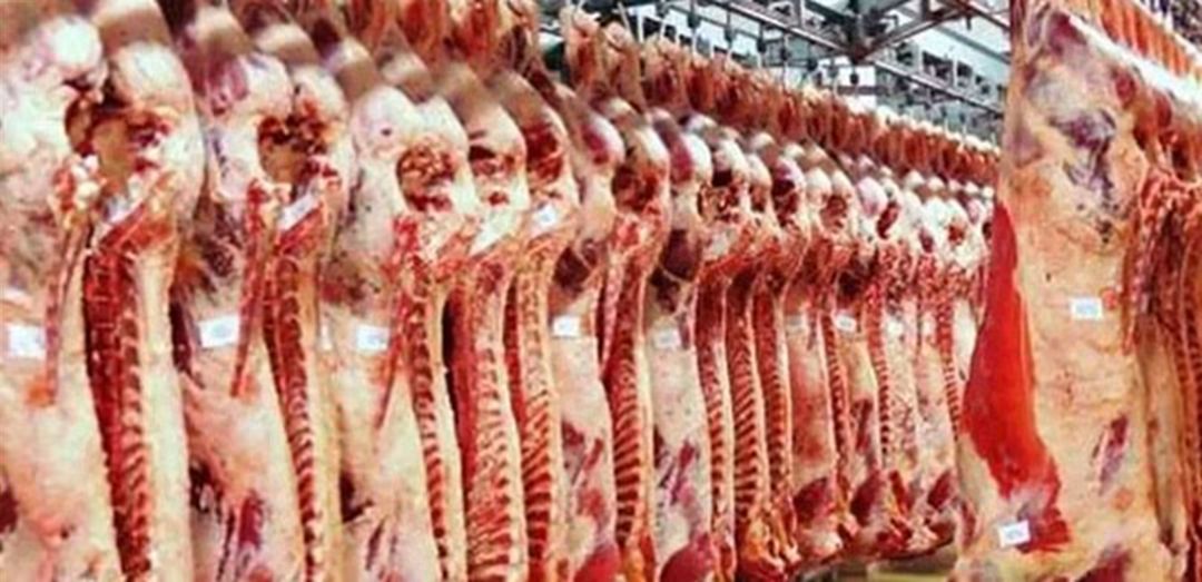 نقابة القصابين وتجار المواشي : الرسوم البيئية ترفع كلفة الإنتاج وتُشعل الأسعار