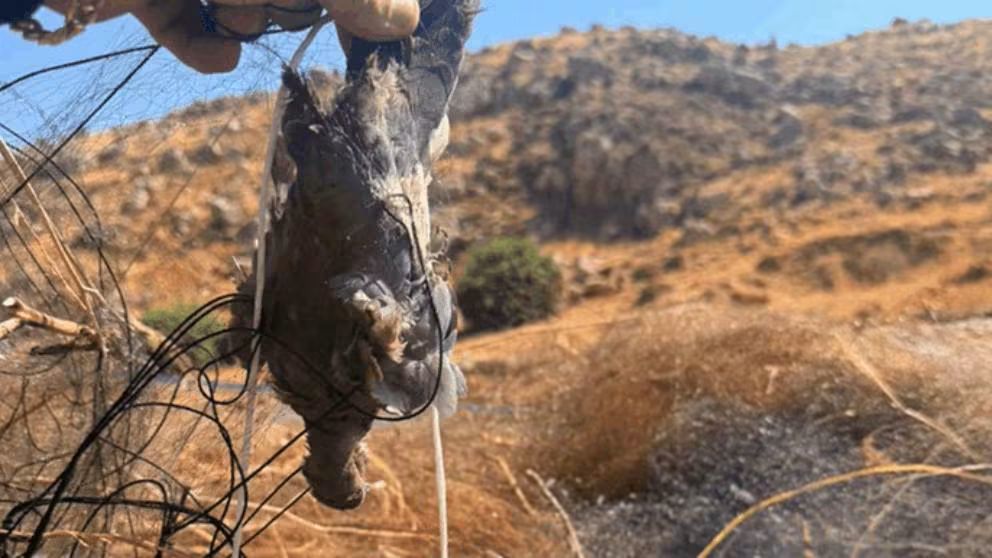 صــدر عـن المديـــريـّـــة العامّــــة لقــــوى الأمــــن الداخلـــــي ـ شعبة العـــلاقـات العامّــــة البـــلاغ التّــالـــــــــــي: