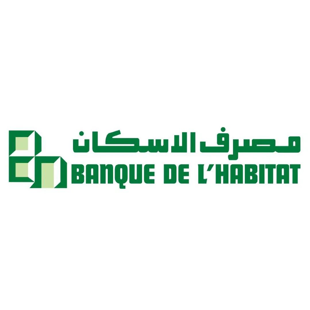 الإطلاق المرتقب لـ DINA (Digital Intelligent Navigation Assistant)،
