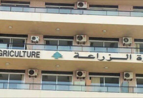 الطلبات أمام شركات الرقابة