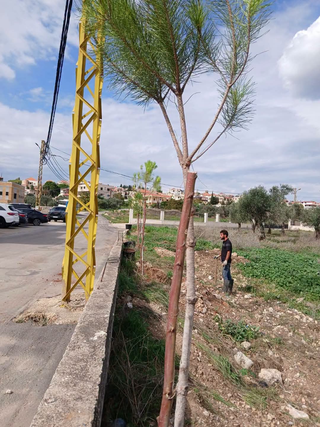 الحفاظ على البيئة 