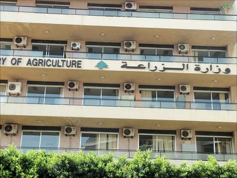 الزراعة": فحوصاتنا تؤكد سلامة عيّنات زيت الزيتون من الجنوب