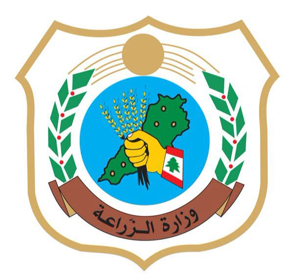إرشادات من وزارة الزراعة بشأن قطاف الزيتون ونقله إلى المعاصر
